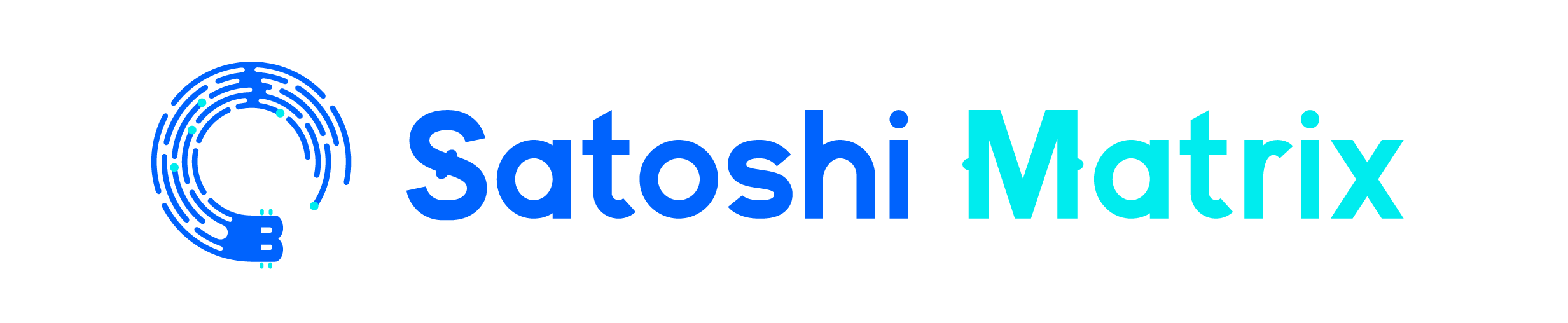 Satoshi Matrix
